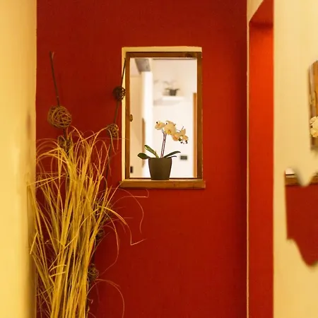 San Frediano District - Apartment
