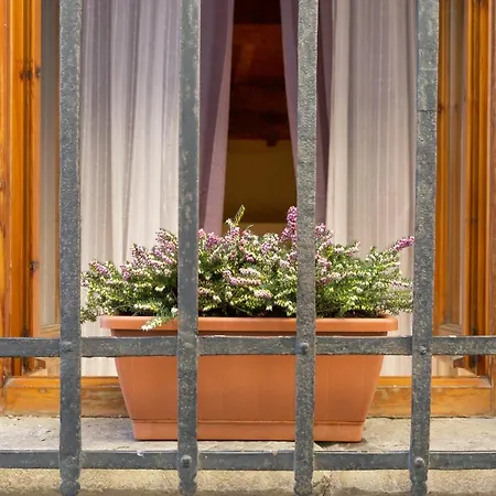 San Frediano District - Apartment *